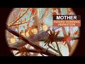 Mother 1 minute sad emotional award winning iranian short film animation animated
