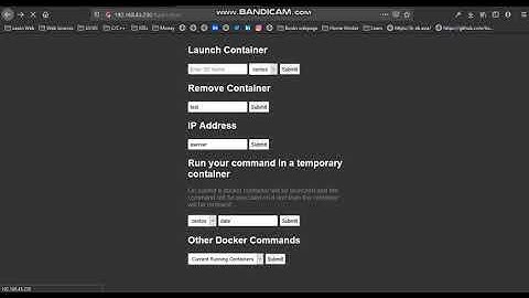 Docker Container Manager using Python CGI and webserver Apache