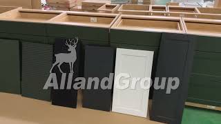 AllandCabinet Custom Made Kitchen Cabinets with Black Matte Lacquer Shaker Panel and Timber Veneer
