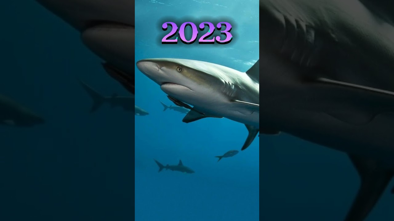 2023 shark and 5000bce shark || Mithycial || #foryou #edit #shortvideos #viral  #shortvideo