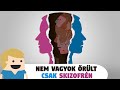 Nem vagyok őrült, csak Skizofrén!