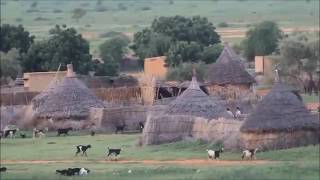 الجنزير التقيل   تراث كردفاني سوداني اداء عباس عبدو