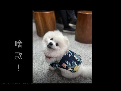 當男人戀愛時主題曲 茄子蛋EggPlantEgg－愛情你比我想的閣較偉大－電吉他 COVER