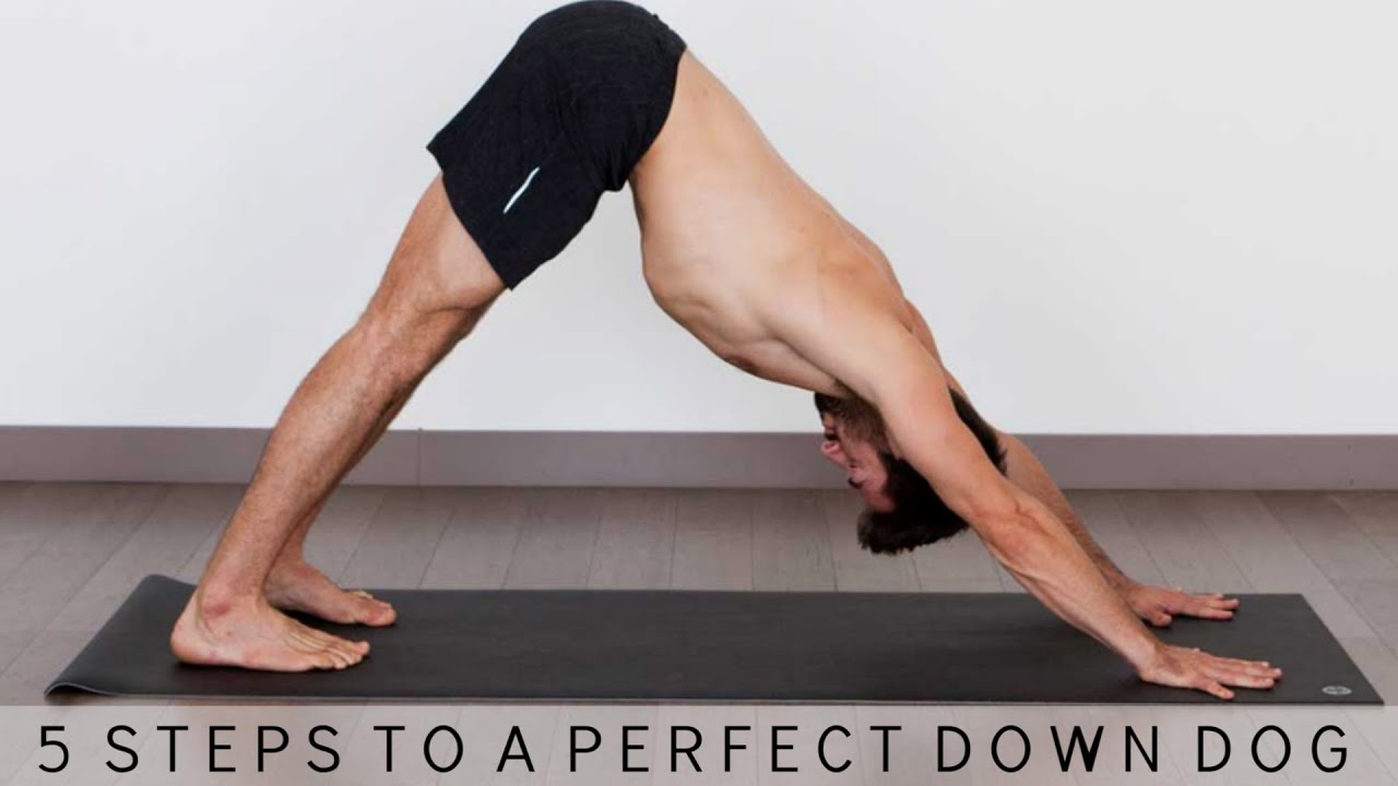 5 Steps to Perfect Down Dog and 3 Legged Downward Dog