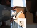 Unboxing Buvvas XP-D463B Label Printer