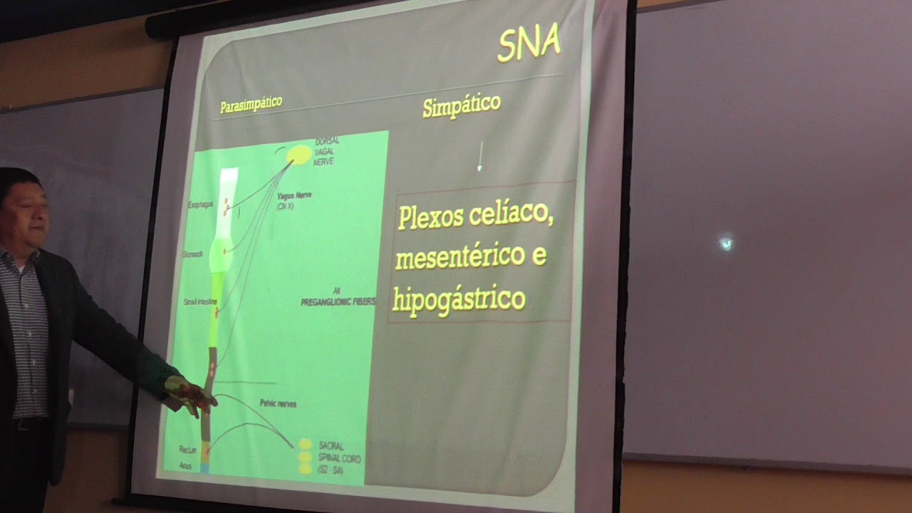 Fisio II - Principios generales de la función gastrointestinal y propulsión y mezcla 1