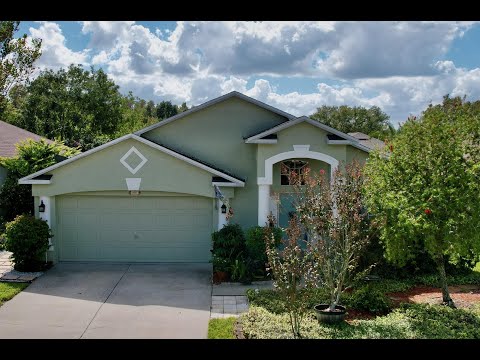25237 Seven Rivers Cir, Land O Lakes, FL home video tour