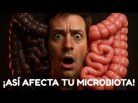 Microbiota Explained in 3 Minutes: Your Health Starts Here