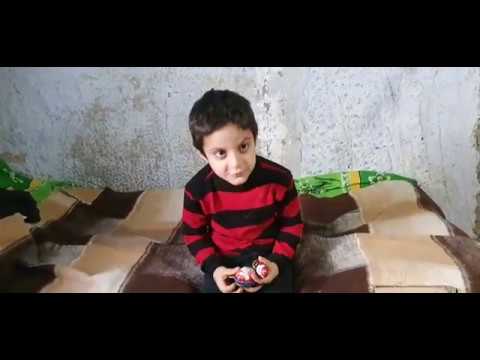 თავისუფლებისა და დემოკრატიის ფონდის სტუმრობა გაბინაშვილების ოჯახში