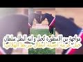 مواجهة بين الاسطورة كحيل و ابنه البطل سلطان وخيل عربية اصيلة ابطال مربط الهلالي لاول مرة