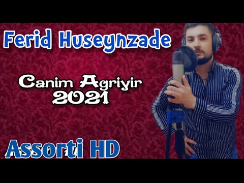 Ferid Huseynzade - Canim Agriyir 2021 (Offical Audio)
