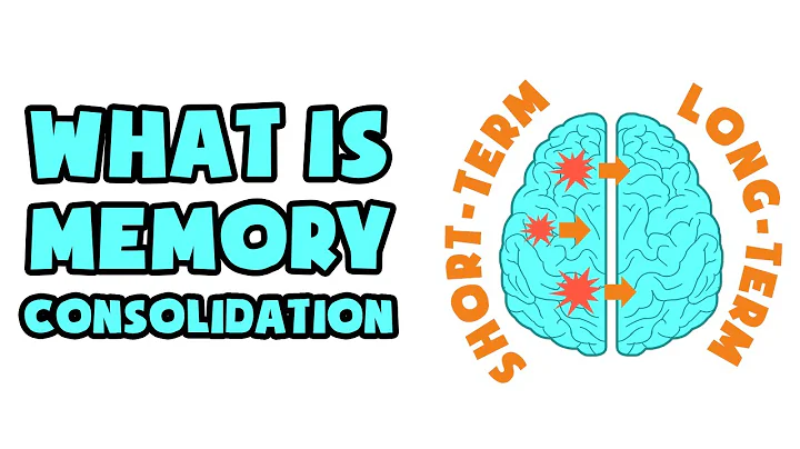 What is Memory Consolidation | Explained in 2 min