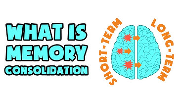 What is Memory Consolidation | Explained in 2 min