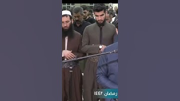 Raad Al kurdi Whatsapp status _ سورة يس الشيخ رعد بن محمد الکردى