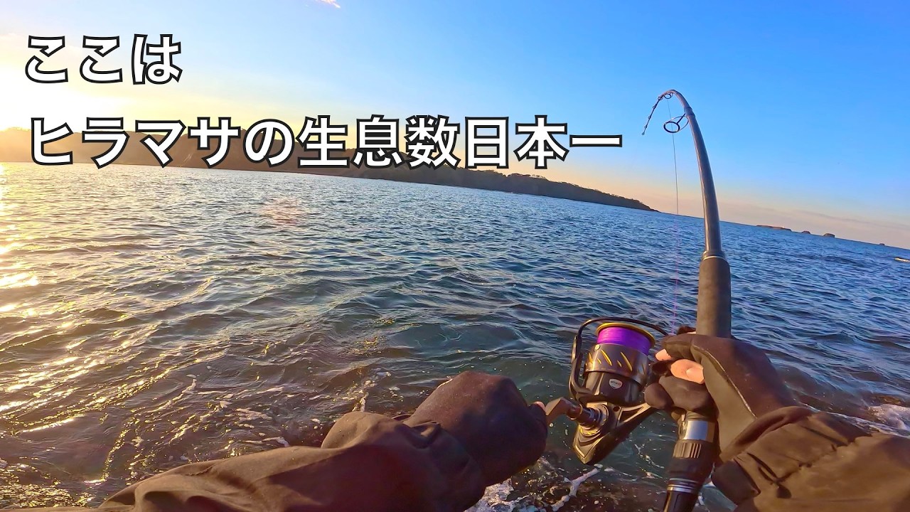 釣り人憧れのターゲット「ヒラマサ」の魚影が日本一濃い海で釣りをすると‥