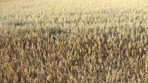 Morse Practice: 5 WPM, 6 letters A E I T S O