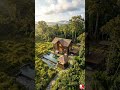 Dari Hutan Kalimantan Menjadi Kompleks Rumah Betang Modern Premium  #timelapse  #rumahkayu #reels