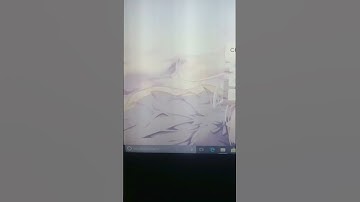 Animated radio button selector | Rosario_coding