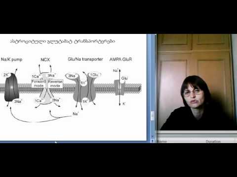 თ.ლორთქიფანიძე გლია-ნეირონი ლექცია 4.2