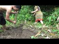 Solo Bushcraft Relaxing In 3 Days Survival In The Rainforest - Primitive Life With Camping Tent