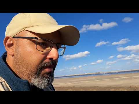 أسرار رحلة طيور الفلامنجو المهاجرة من فرنسا إلى بور فؤاد وايه علاقة شركة الملح بالموضوع