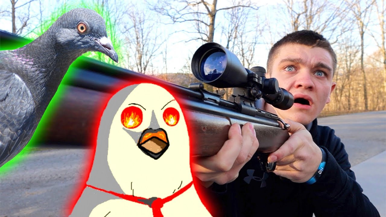 airgun hunting videos Pigeon Hunting GONE WRONG!