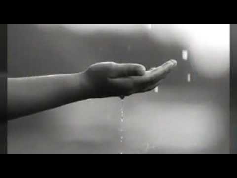 القارى اليمني عبدالرحمن محمد قايد