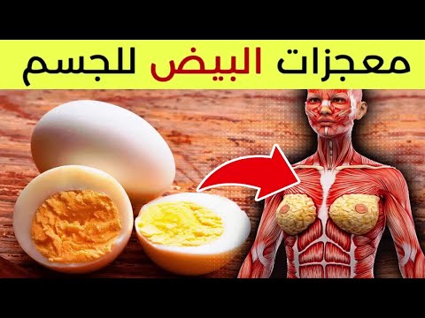 ماذا يحدث لجسمك عند تناول بيضة مسلوقة كل يوم ؟ 10 فوائد للبيض ستغير حياتك اليومية!