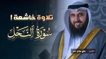 ترنّم خاشع وجمال الترتيل من سورة النحل بصوت الشيخ علي صلاح عمر | عشاء 19-8-1446 هـ