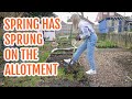SPRING HAS SPRUNG ON THE ALLOTMENT / MARCH 2022 / EMMA&#39;S ALLOTMENT DIARIES