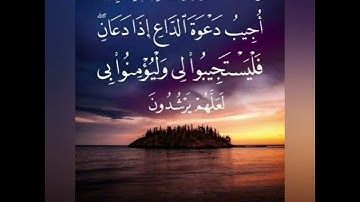 سورة البقرة . الآية ١٨٦ . أحمد العجمي