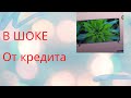 Заказала телевизор родителям/Сравнила цены/Заболели/Скоро заберу старшую ДОЧЕНЬКУ💕