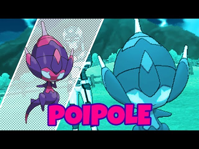 Poipole (UB Adhesive) • Competitive • 6IVs • Level 50 • Online Battle