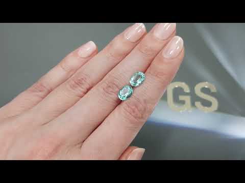 Pair of Paraiba tourmalines in oval cut 3.83 ct, Mozambique Video  № 3