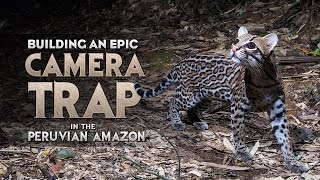amazon wildlife camera trap