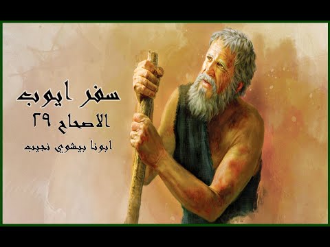 تفسير مبسط لسفر ايوب الاصحاح ٢٩ ابونا بيشوي نجيب 