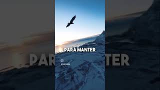 #motivacional #deustemumapalavrapravoce #caminhoparaumavidamelhor #caminhodaverdade
