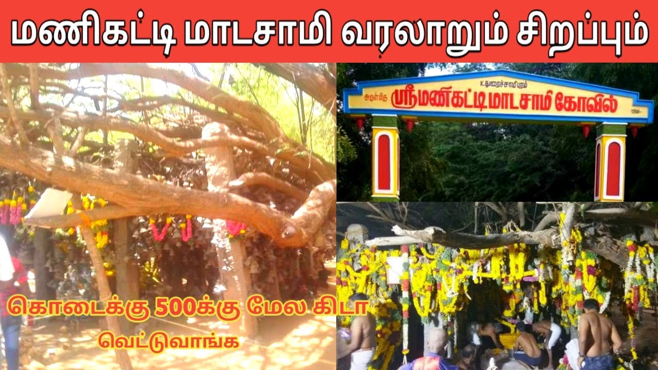 மணிகட்டி மாடசாமி திருக்கோவில் வரலாறும் சிறப்பும் | Manikatti Madasamy Temple History | IniyaTamil