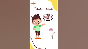 Mass - size | Big | Bigger | Biggest | Small | Smaller | Smallest | Learning Videos for Kids