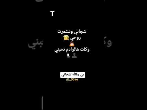 اشترك ليصلك كل ماهو ه جديد