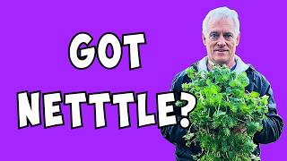 👨‍🌾I ❤️Purple Dead Nettle: The FREE Superfood Growing in YOUR Yard