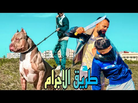 13  2023 فيلم قصير طريق الإجرام فيلم مغريبي