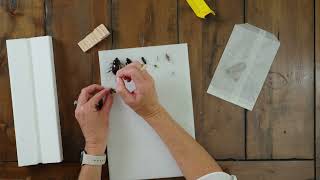 How to Pin Insects