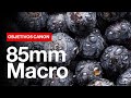 Canon 85mm RF f2 Macro 😍 Review en Español