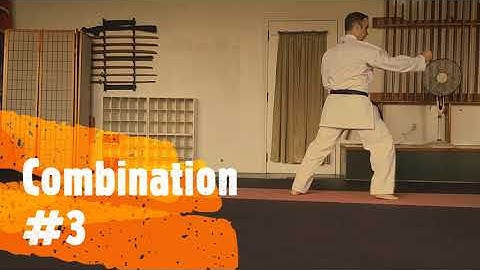 Kumite Combinations 1 - 7