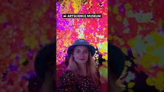 Singapore Artscience Museum