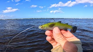 Lets See If This Lure Will Work - Stacked Jacks, Snook, and Pompano Fishing Florida