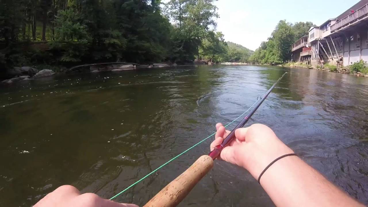 Trout Fishing Cherokee, North Carolina YouTube