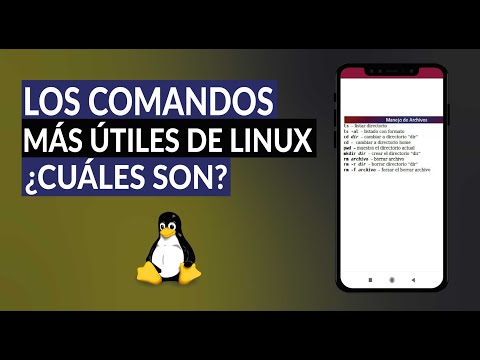 ¿Para qué Sirven los Comando de Linux y Cuáles son los Básicos más Útiles?