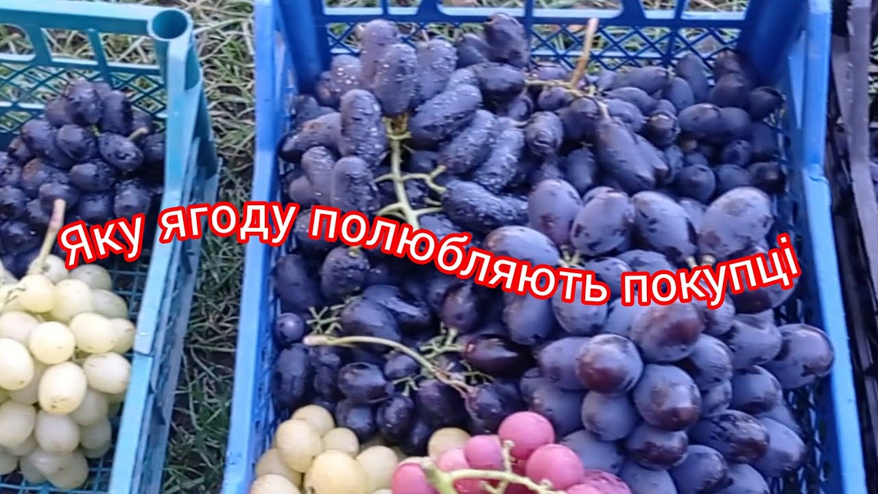 Форми які довисіли до 27 вересня 2025 р.